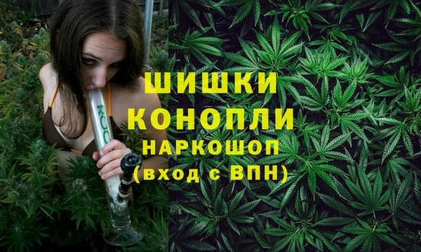 винт Бронницы