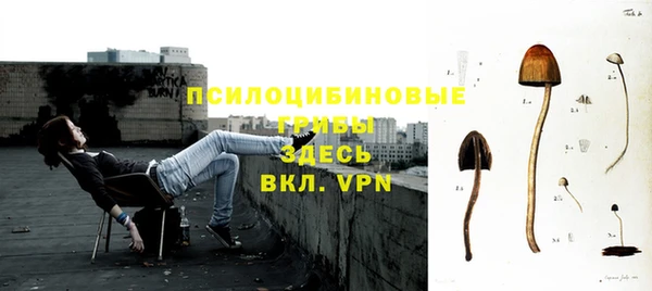 стаф Богородицк