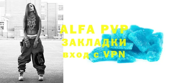 стаф Богородицк