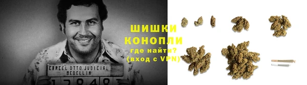 крисы Бугульма