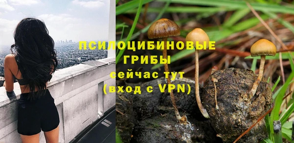 крисы Бугульма