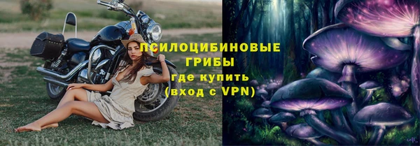 винт Бронницы