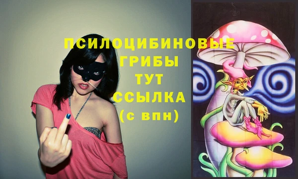 крисы Бугульма