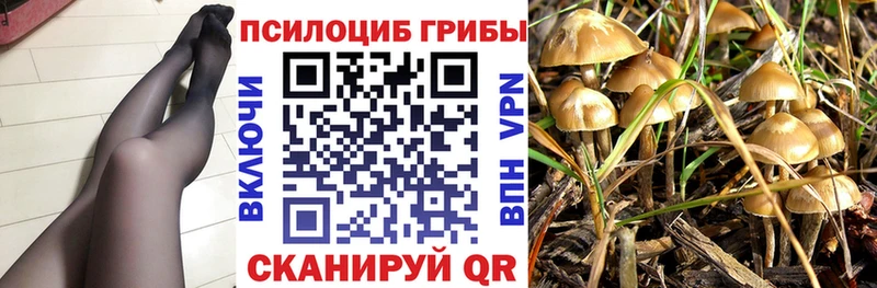 OMG ТОР  что такое   Севастополь  Галлюциногенные грибы Psilocybine cubensis 